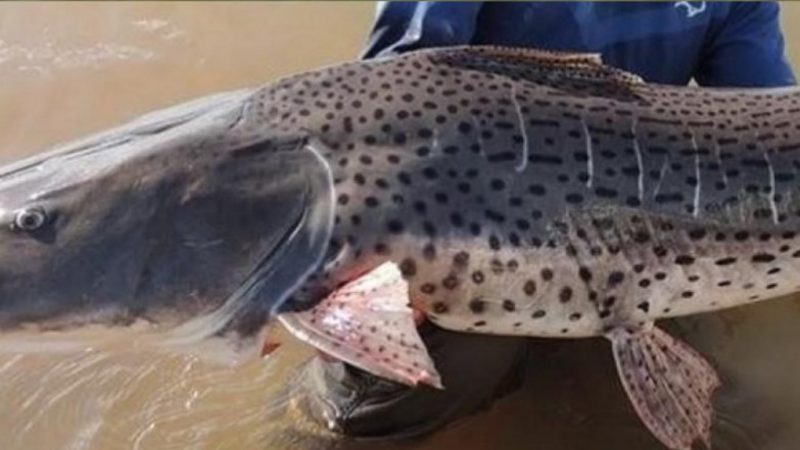 Captura de pantalla 2025-03-24 205308